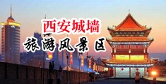 日女老师的穴日中国陕西-西安城墙旅游风景区