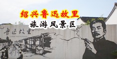 黄碟射白将视频中国绍兴-鲁迅故里旅游风景区