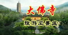 调教小母狗喷水中国浙江-新昌大佛寺旅游风景区